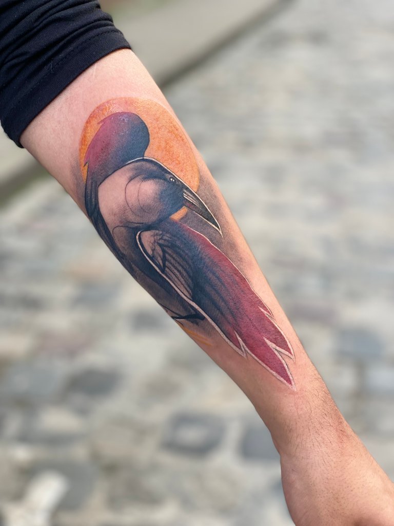 Misha`s work sample 11