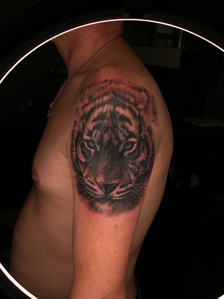 Misha`s work sample 6