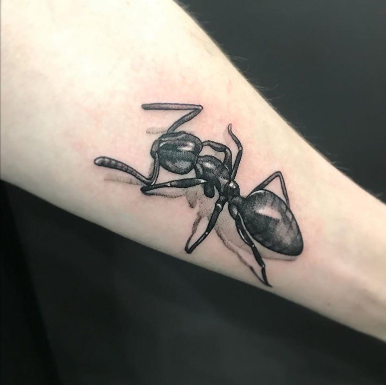 Nestor`s work sample 10