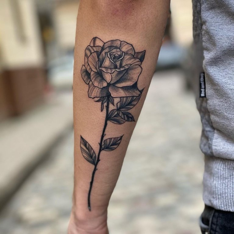 Rusina`s work sample 5